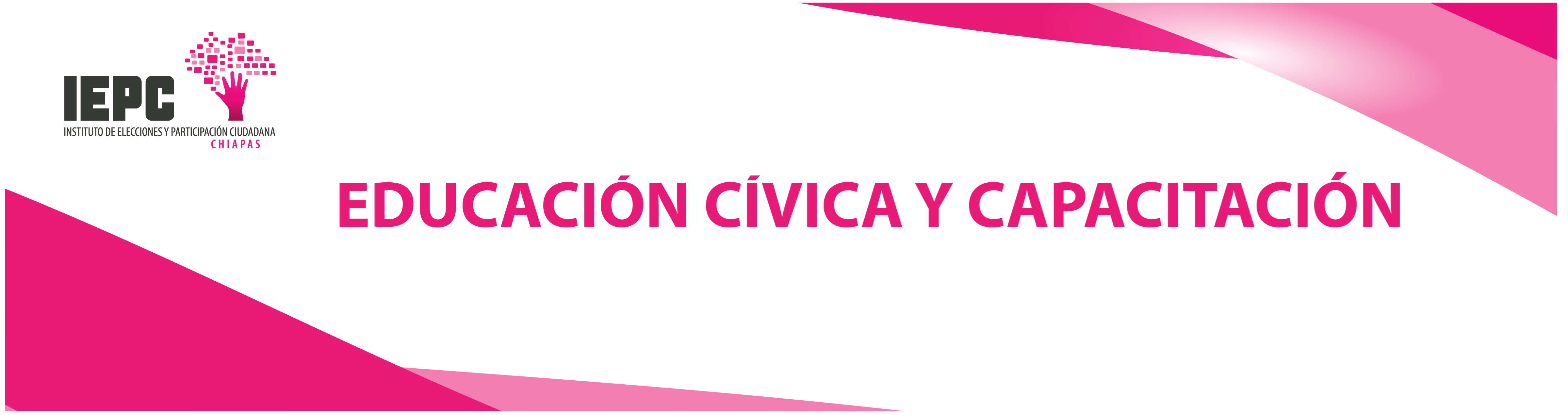 banner proceso