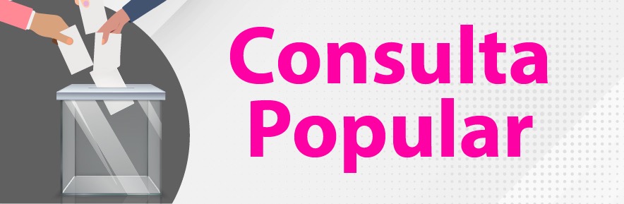 CONSULTA