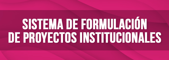 BTN SISSTEMA FORMULACION
